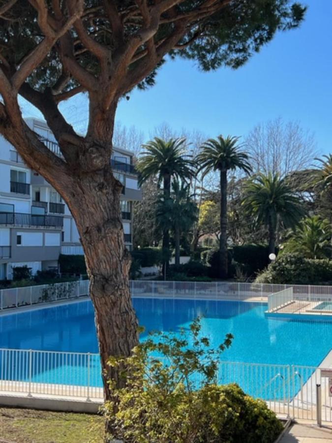 Apartament 35M With Pool For Couple In Saint Tropez Zewnętrze zdjęcie